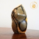 Septaria forme libre 2 verso.jpg