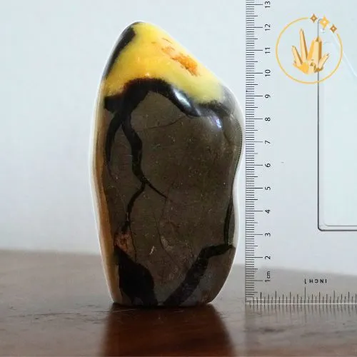 Septaria forme libre 2 recto règle.webp