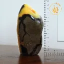 Septaria forme libre 2 recto règle.webp