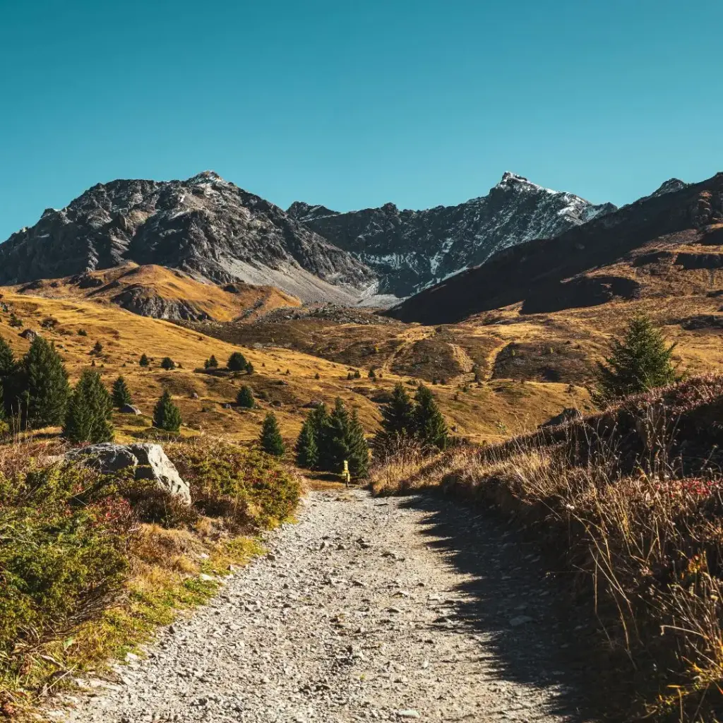 Abonnement Le sentier de l'ancrage