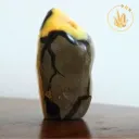 Septaria forme libre 2