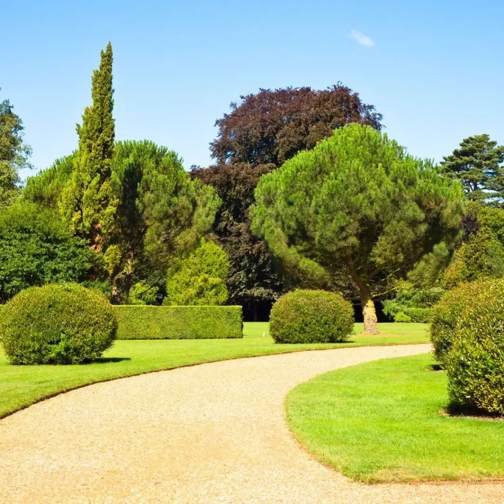 Abonnement L'allée des résonances