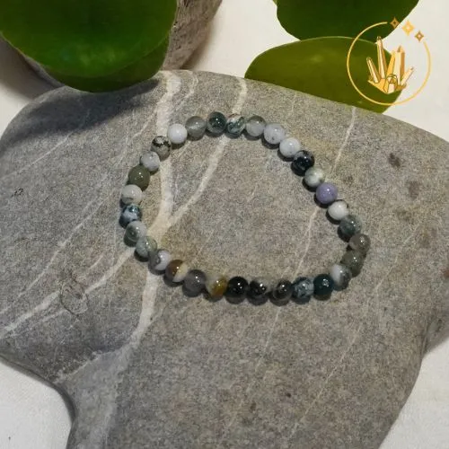 Bracelet Agate arbre 6mm